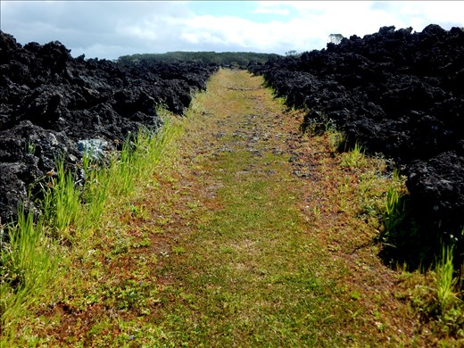 Along a footpath, the grass creeps up from the hard surface of the ground. All around lies the black lava rocks, yet in all this darkness, there is color and life. Stretching like a road, the grass is like a walkway showing how even in the worst of times there is always something good. We just need to look for it, no matter how much time it takes. 