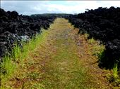 Along a footpath, the grass creeps up from the hard surface of the ground. All around lies the black lava rocks, yet in all this darkness, there is color and life. Stretching like a road, the grass is like a walkway showing how even in the worst of times there is always something good. We just need to look for it, no matter how much time it takes. : by tomas-nocera, Views[381]