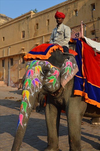 A beautifully painted elephant in Jaipur.