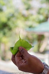 by tomaszo, Views[198]