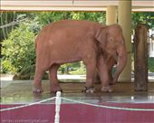 by tomaszo, Views[167]