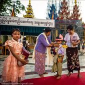 by tomaszo, Views[105]