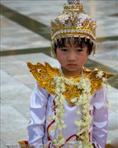 by tomaszo, Views[114]