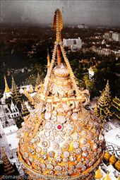 by tomaszo, Views[112]