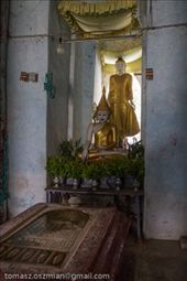 by tomaszo, Views[203]