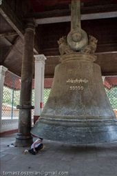 by tomaszo, Views[174]