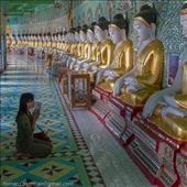 by tomaszo, Views[133]