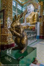 by tomaszo, Views[163]