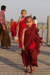 by tomaszo, Views[107]