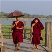 by tomaszo, Views[87]