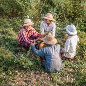 by tomaszo, Views[129]