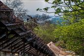 by tomaszo, Views[131]