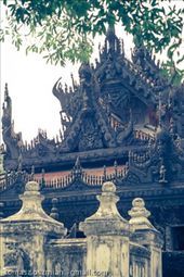 by tomaszo, Views[97]