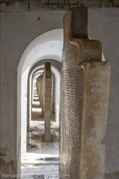 by tomaszo, Views[92]