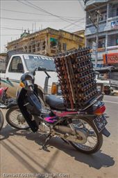 by tomaszo, Views[129]