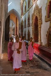 by tomaszo, Views[166]