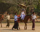 by tomaszo, Views[188]