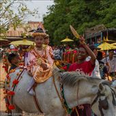 by tomaszo, Views[211]