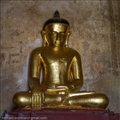 by tomaszo, Views[134]