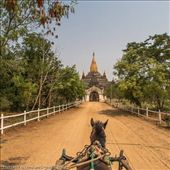 by tomaszo, Views[190]