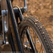 by tomaszo, Views[109]