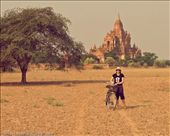 by tomaszo, Views[98]