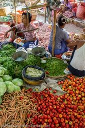 by tomaszo, Views[129]