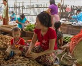 by tomaszo, Views[92]