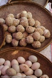 by tomaszo, Views[122]