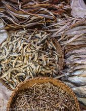 by tomaszo, Views[115]