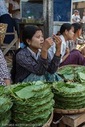 by tomaszo, Views[107]