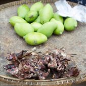 by tomaszo, Views[98]