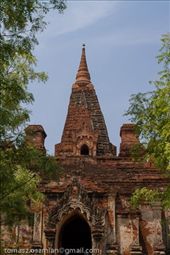 by tomaszo, Views[93]