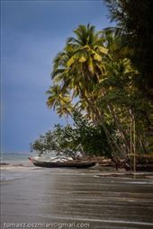 by tomaszo, Views[185]