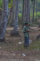 by tomaszo, Views[149]