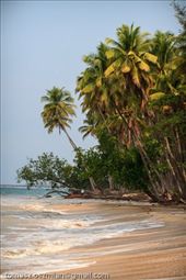 by tomaszo, Views[167]