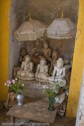 by tomaszo, Views[190]