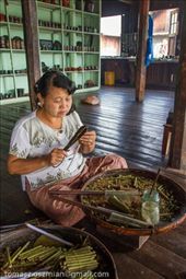 by tomaszo, Views[233]