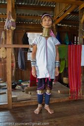 by tomaszo, Views[194]