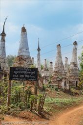 by tomaszo, Views[184]