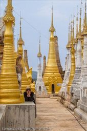 by tomaszo, Views[190]