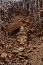 by tomaszo, Views[161]