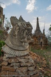 by tomaszo, Views[145]