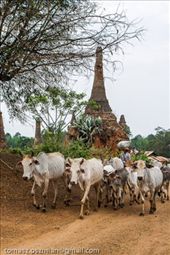 by tomaszo, Views[166]