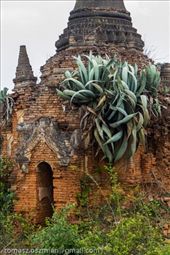 by tomaszo, Views[144]