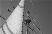 40 meters of mast with mostly rolled up sails (just before they were open): by tomek, Views[337]