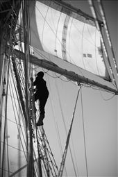 The dreaded task of climbing up to the sails, the wind allows us to open more.: by tomek, Views[293]