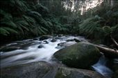 Toorongo River: by tomj, Views[242]