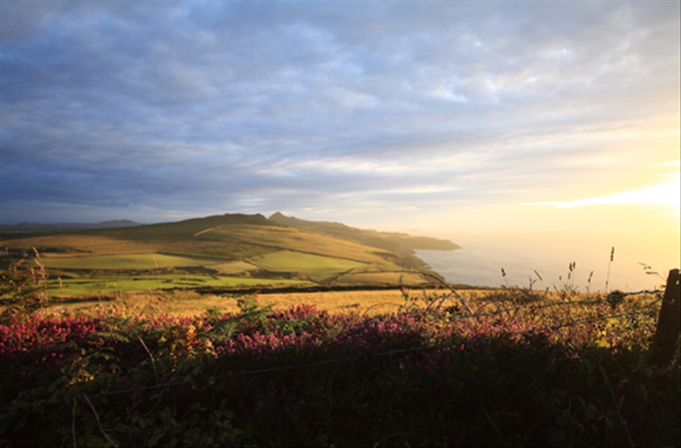 View from Pen Beri over Carn Llidi