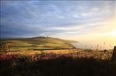 View from Pen Beri over Carn Llidi: by tomkynbowell, Views[252]